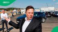 SA-born Elon Musk’s Tesla loses $89 billion market share amid slowed European sales