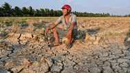 Vietnam farmers struggle for fresh water as drought brings salinisation