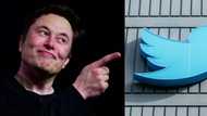 'Monetizing hate': Unease as misinformation swirls on Twitter