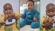 6-month-old boy's meat-eating TikTok video has South Africans amused as they share baby jokes