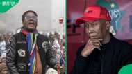 Ngizwe Mchunu apologises to Julius Malema, retracts defamatory remarks about EFF leader