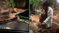 Mother and son in Durban at uShaka dangerous creatures snake exhibit has Mzansi amused by TikTok video