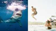 18-year-old man dives in shark-infested waters at night as a dare, netizens floored as he goes missing in video