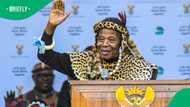 Mangosuthu Buthelezi's family welcomes decision to make his grave a heritage site
