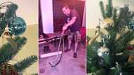 "Nice Xmas Decoration": SA in love with snake who's got all the Christmas Spirit