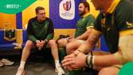 Rassie Erasmus snaps at journalists over All Blacks questions before Argentina Test