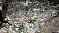 Talks kick off on global plastic trash treaty