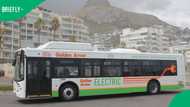 Golden Arrow buys 120 electric buses for local public transport as diesel prices sore