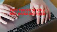 How to solve two finger scroll not working on Windows and Mac