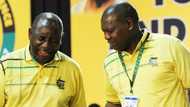 SA is not happy with Ramaphosa singing Zweli Mkhize's praises after Digital Vibes report