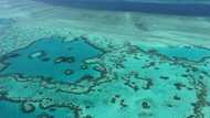 Australia falls short in Great Barrier Reef efforts: experts