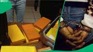 Brazilian drug mule busted at OR Tambo with R8.7 million cocaine haul