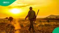 South Africans earn R62k in high-risk farm jobs in the US