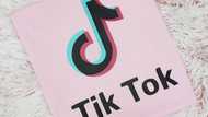 Highest-paid TikTok stars in the world 2020