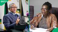 Fikile Mbalula defends Dina Pule's ministerial reappointment, SA accuses ANC of recycling leaders