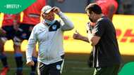 Jake White Closing in on Fiji Job as Springbok World Cup Winner Eyes Test Rugby Return