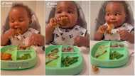 Baby with few teeth 'finishes' fried chicken like hungry man in video, empties his plate