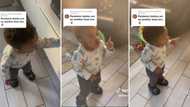 Adorable toddler throws moves in TikTok dance video, mother claims pandemic babies are next level: Mzansi lol