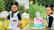 Sithelo Shozi, MaMkhize, Tamia and Andile Mpisane celebrate baby Flo's 'Baby Shark' themed bday with cute posts