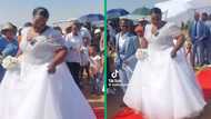 Limpopo bride's unexpected dance partner causes a stir on social media