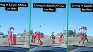 Talented boys perform acrobatics at street intersection for motorist, video amazes people