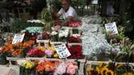 Florists prepare for soaring sales ahead of queen's funeral