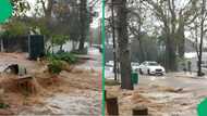 Cape Town weather: River bursts its banks into Newlands Avenue