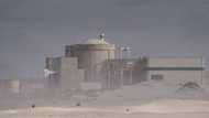 South Africa to build new nuclear plants: govt
