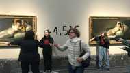 Activists glue hands to Goya frames at Prado: Spanish police