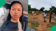 “Really inspiring”: Mzansi woman stuns with viral ‘day in the life of a farm girl,' SA loves It