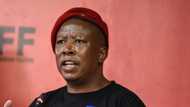 The EFF's Julius Malema angrily tells local media company to voetsek