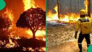 Buthelezi calls for caution as veld fire risk soars in Northern KZN