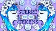 Sterretekens persoonlikhede: Eienskappe van die sterretekens