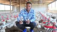 Farmer encourages aspiring farm owners to forgo money and land excuses