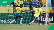 Kaizer Chiefs backed to make bold move for Mamelodi Sundowns player