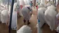 Video of women shaking their booty at church leaves some Mzansi peeps in disbelief and others interested