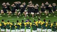 SA Rugby plots memorable response to the All Blacks' haka
