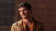 Who is Pedro Pascal's wife or is he gay? Full bio and untold facts