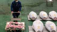 Japan tuna price soars past $270,000 at New Year auction