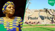 Nosiviwe Mapisa-Nqakula claims ANC MPs were ordered to reject Phala Phala report, SA fires back