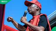 Julius Malema criticises President Ramaphosa, brandishes ANC as biggest crime syndicate as SA reacts