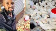 Man shares journey as a farmer and lessons learned, SA peeps commend his hustle: "Keep up the good work"