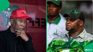 Julius Malema reacts to Floyd Shivambu's demotion from Secretary-General to MP