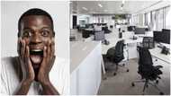Man gets fired for insulting his own mother who can't speak English