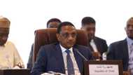 Chadian FM resigns blaming junta for his exit