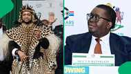 AmaZulu King fires traditional Prime Minister Thulasizwe Buthelezi, South Africans support decision