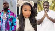 Hollywood actor Idris Elba has song with Megan Thee Stallion and Davido