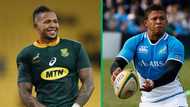 Springboks player Elton Jantjies flaunts his R4.5 million Lamborghini Urus on social media