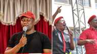 EFF accuses senior IFP leaders of plotting to kill Secretary-General Marshall Dlamini, Mzansi doubts claim