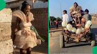 Learner travels to matric dance on a donkey carriage, Mzansi loves her fairytale vibe